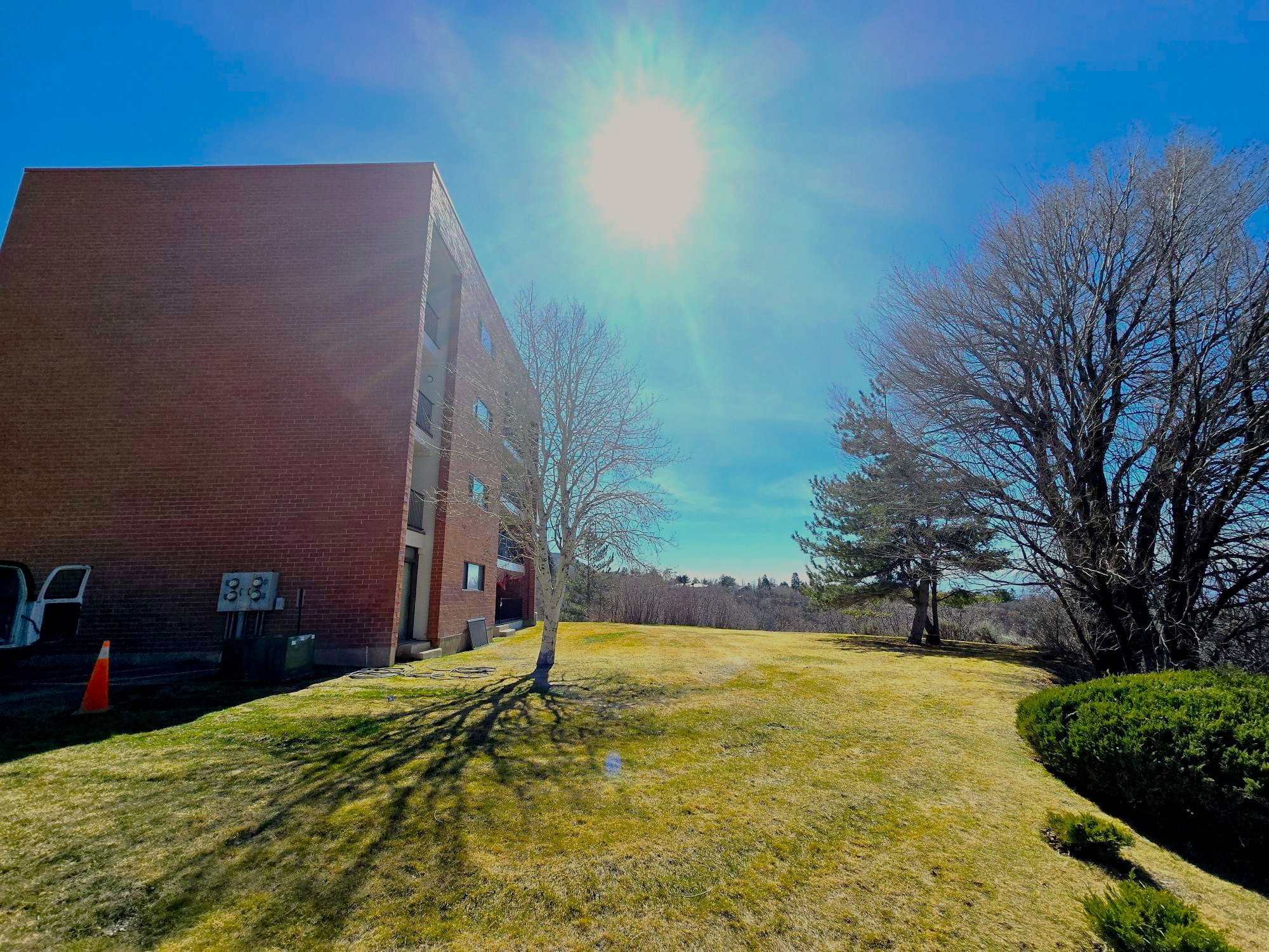 View of grassy yard