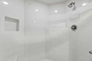 Bathroom with a tile shower