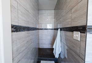 Full bathroom featuring walk in shower
