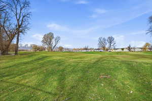 View of grassy yard featuring a residential view