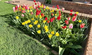 Flower bed by front walkway