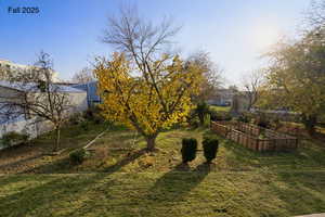 View of yard featuring a garden