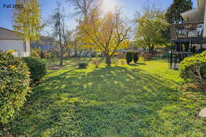 Apple, pear and cherry tress and green and purple grape vines