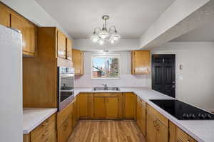 Kitchen featuring light countertops, black electric stovetop, suspended lighting, and light wood-type flooring