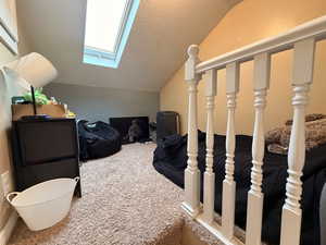Bonus room featuring a skylight and carpet flooring