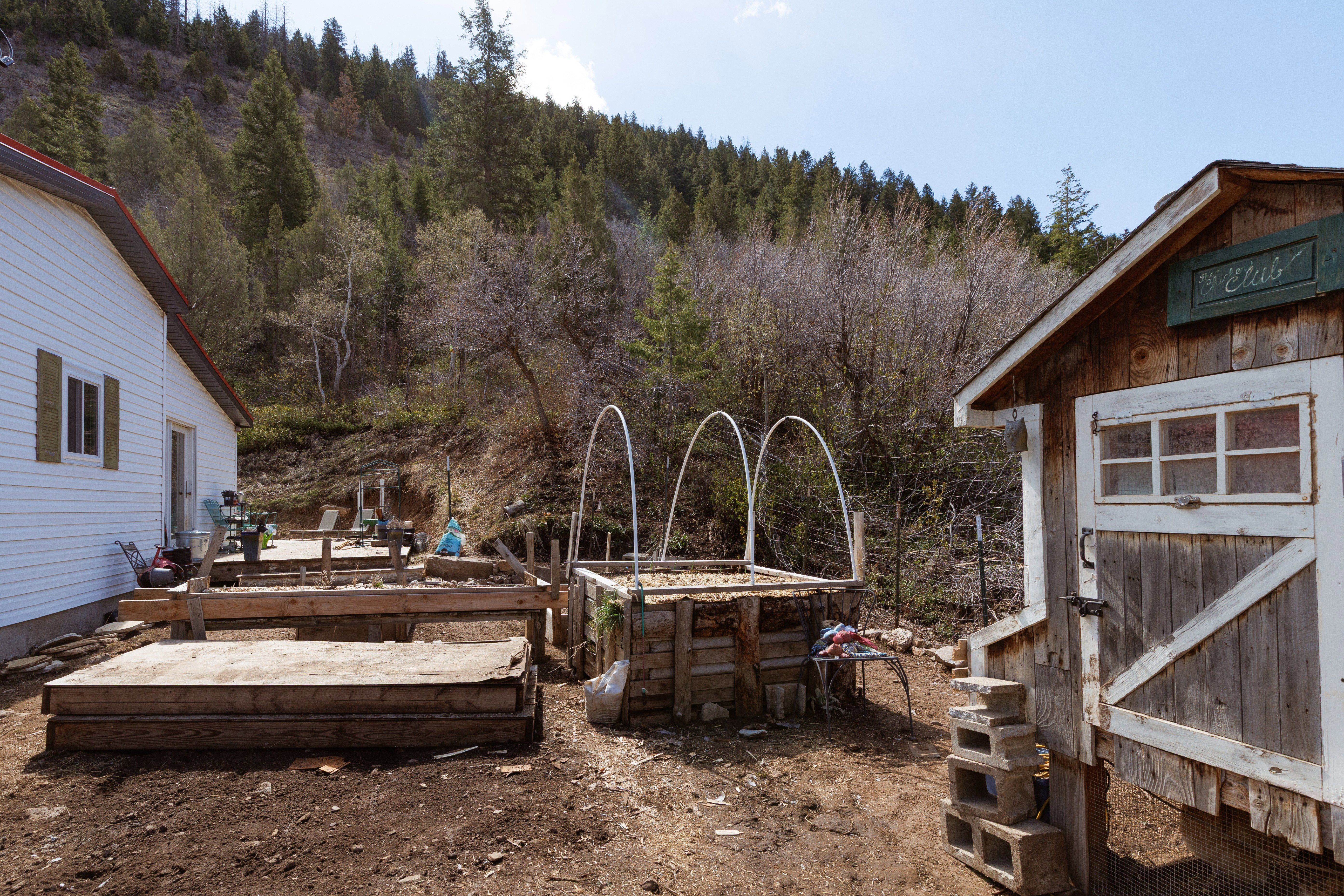 View of yard featuring a wooden deck, raised planter, chicken coop and a forest view
