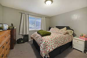 Bedroom featuring light colored carpet and a textured ceiling