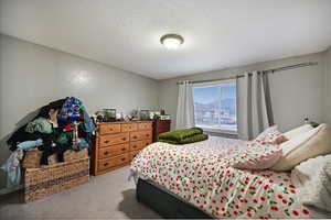 Bedroom with light carpet and a textured ceiling