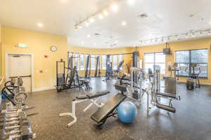 Exercise room featuring track lighting and a ceiling fan