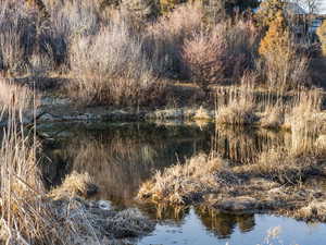 View of local wilderness featuring a large body of water