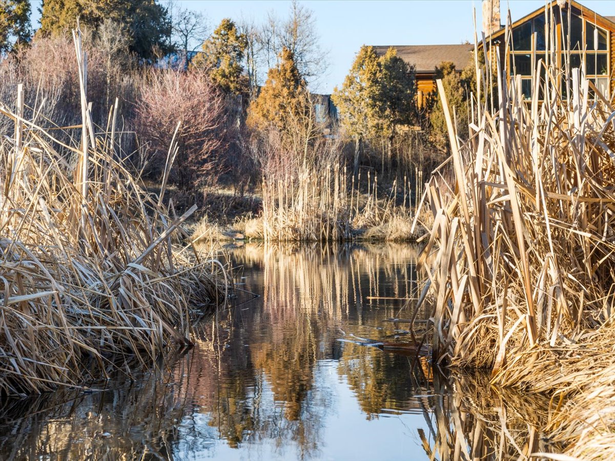Water view