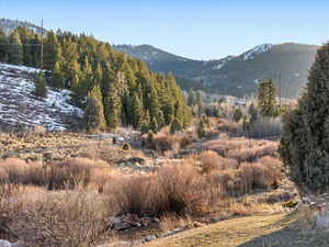 View of mountain backdrop