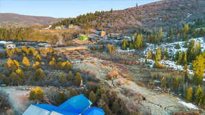 View of mountain background with a forest