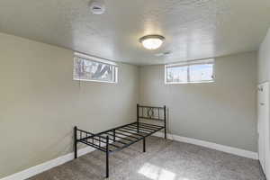 Unfurnished bedroom with light carpet, a textured ceiling, and multiple windows