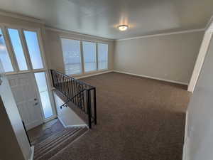 Staircase with ornamental molding and carpet floors