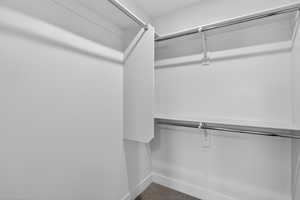 View of walk in closet