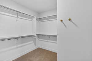 Walk in closet featuring light carpet
