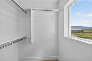 View of walk in closet