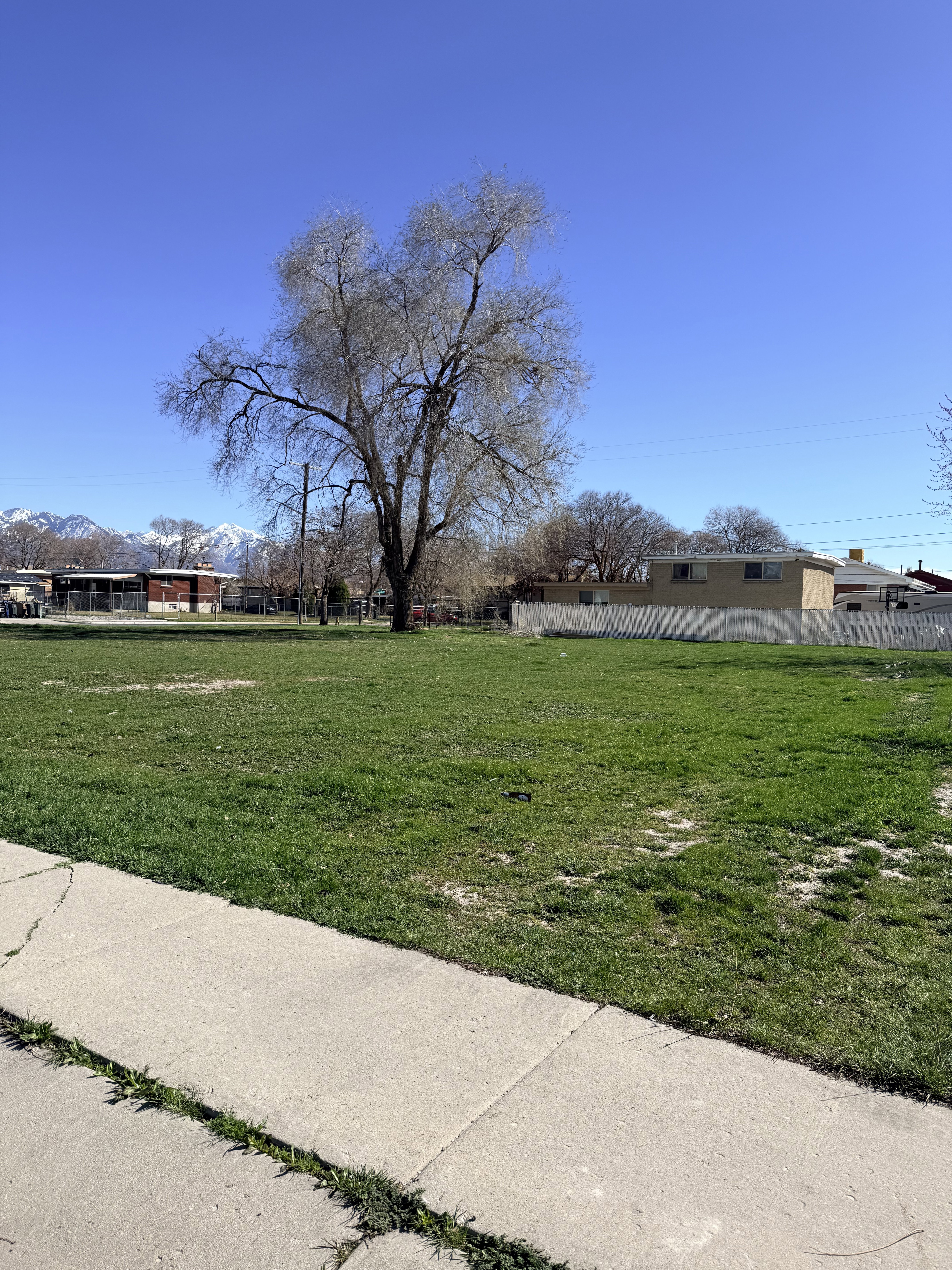 View of yard with a mountain view