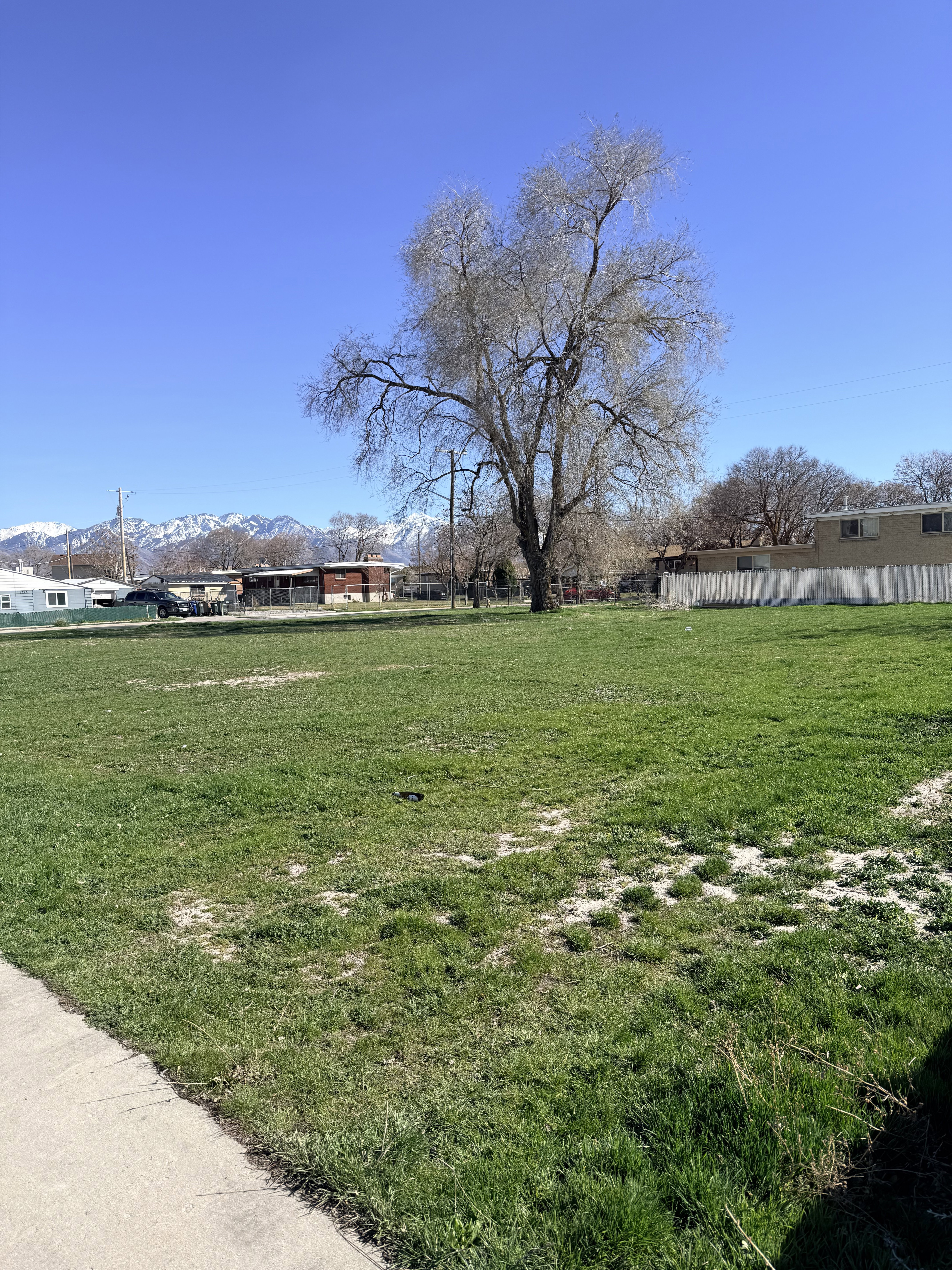 View of yard featuring a mountain view