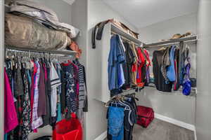 Walk in closet with carpet floors