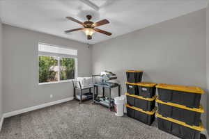 Carpeted office with ceiling fan and baseboards