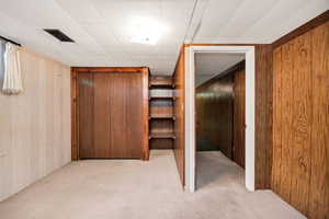 Finished basement with wooden walls and light carpet