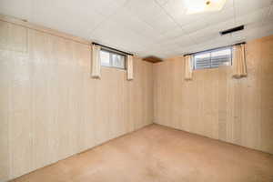 Basement featuring carpet and wood walls