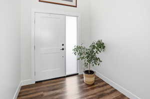 Entrance foyer featuring dark wood finished floors and baseboards