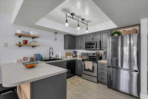 Kitchen with stainless steel appliances, gray cabinets, a raised ceiling, a peninsula, and light countertops