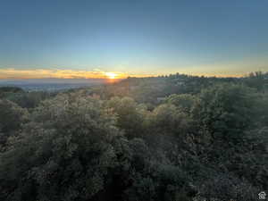 View of nature at dusk from home