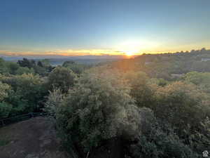 View of nature at dusk from home
