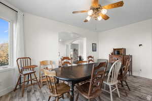 Formal dining room with wood finished floors, ceiling fan, arched walkways, and plenty of natural light