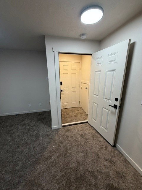 Interior entryway featuring a white paneled door with matte black hardware, textured gray carpeting, and a flush-mount ceiling light