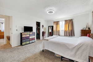 Bedroom with a spacious closet, a textured ceiling, and carpet flooring