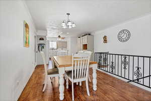 Dining space with ceiling fan, ornamental molding, dark wood-style flooring, a textured ceiling, and a chandelier