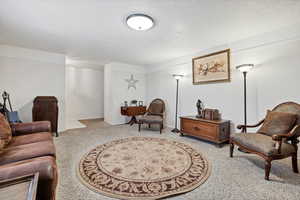 Living area featuring light carpet