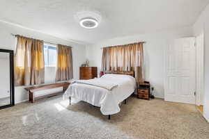 Bedroom with a textured ceiling and light carpet
