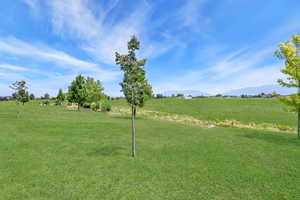 View of grassy yard featuring a rural view and a mountain view