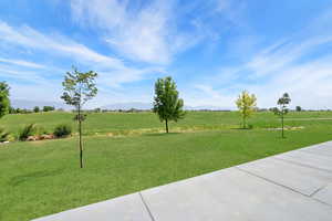 View of grassy yard with a rural view and a mountain view