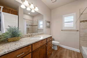 Bathroom featuring wood tiled floors and vanity