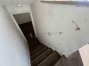 Stairway featuring carpet flooring