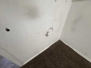 Detailed view of carpet and baseboards