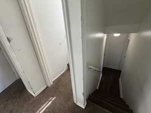 Stairs with baseboards and carpet flooring
