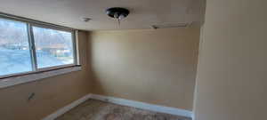 Spare room featuring attic access and light colored carpet