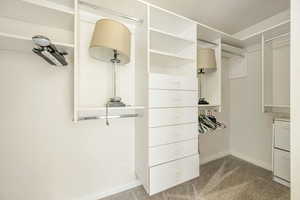 Walk in closet with carpet floors
