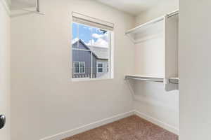 Walk in closet featuring carpet floors