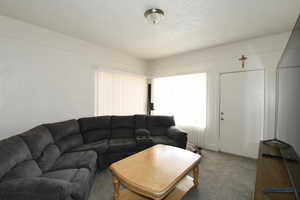 Carpeted living room featuring a textured ceiling