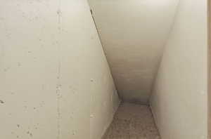 Stairs with carpet floors