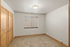 Unfurnished bedroom with a closet, light carpet, and a textured ceiling
